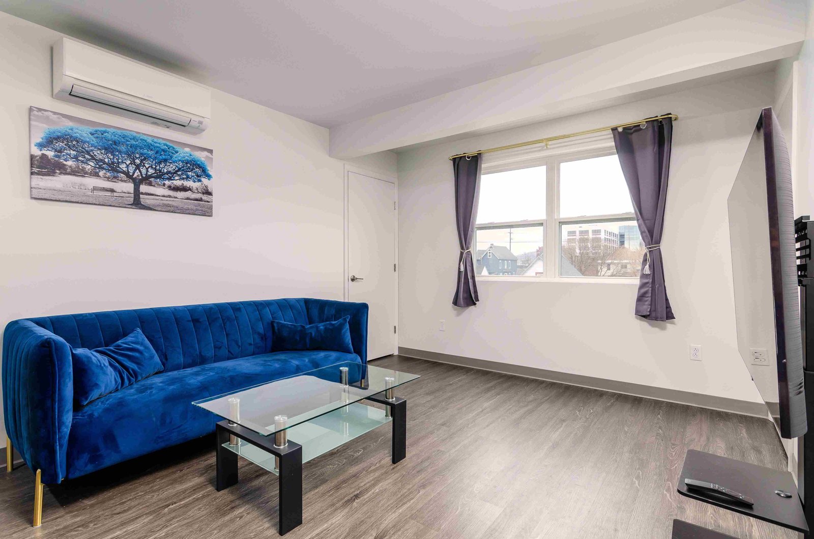 Deluxe 2 bedroom apartment living room Grand Monarch Johnson City